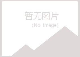 波密县夏青建设有限公司